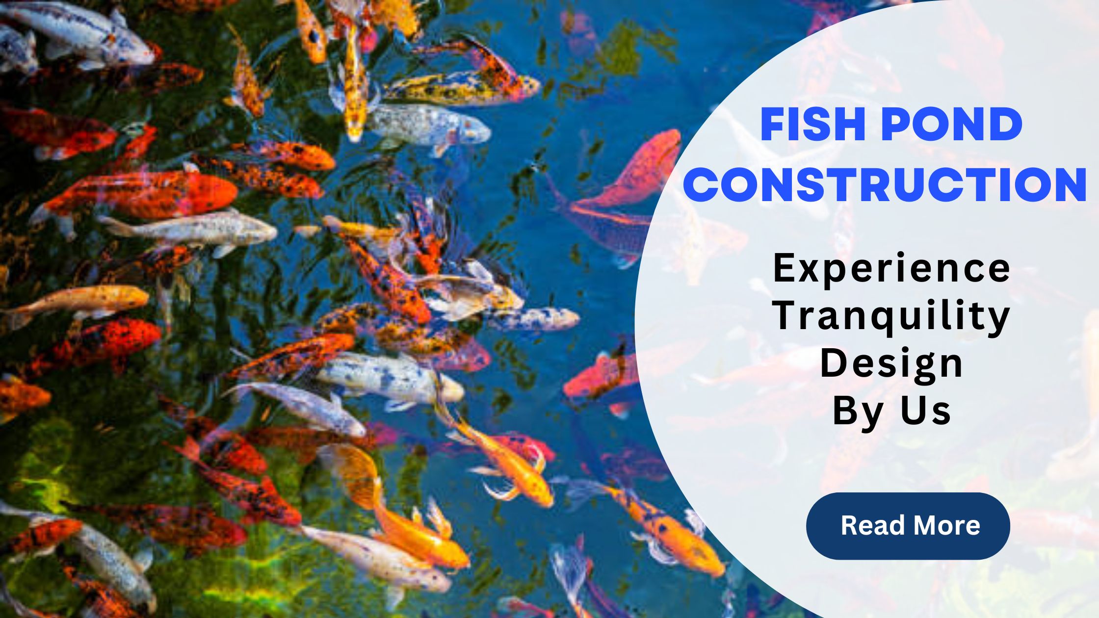 fish pond construction in hyderabad
